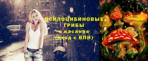 мяу мяу мука Аркадак