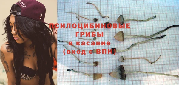 мяу мяу мука Аркадак