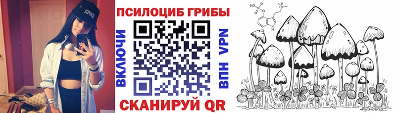 Псилоцибиновые грибы MAGIC MUSHROOMS  Баксан 